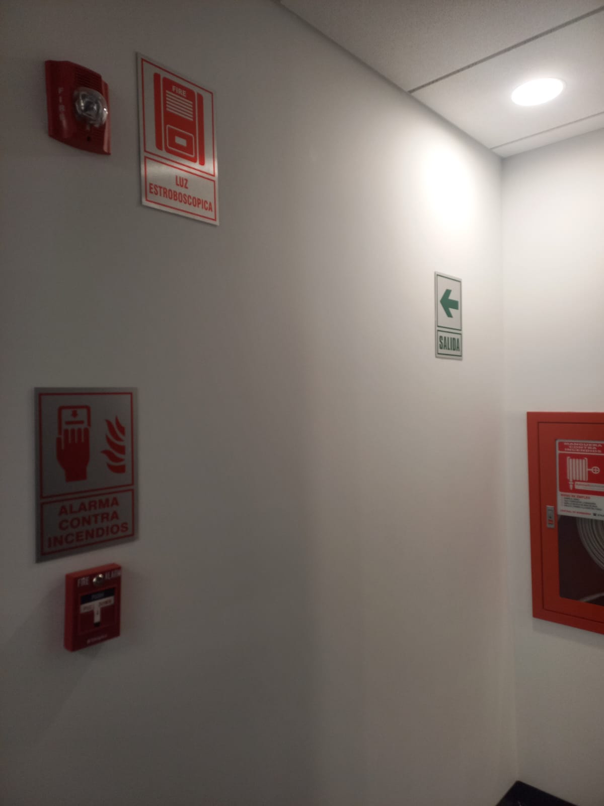 Protocolos de seguridad